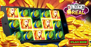 6655bet